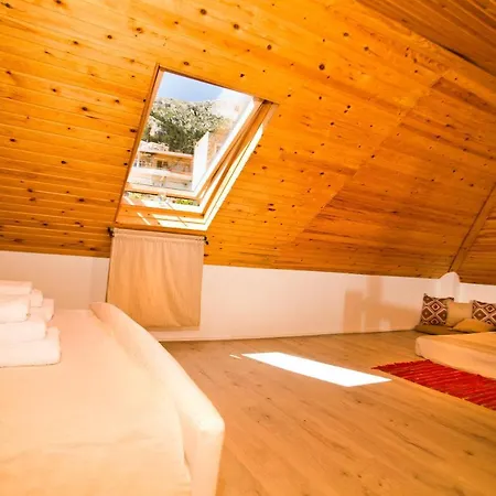 Spongkalya Ii Kilimli