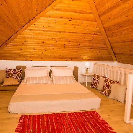 Spongkalya Ii Daire *